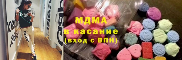 стаф Богданович