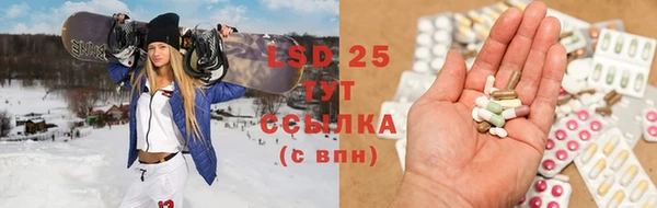 стаф Богданович