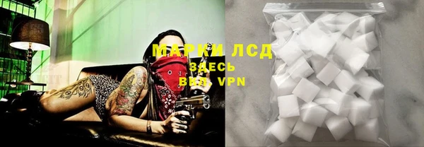 стаф Богданович