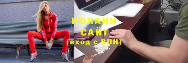 стаф Богородск