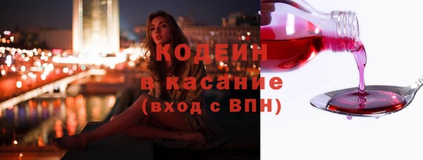 стаф Богданович