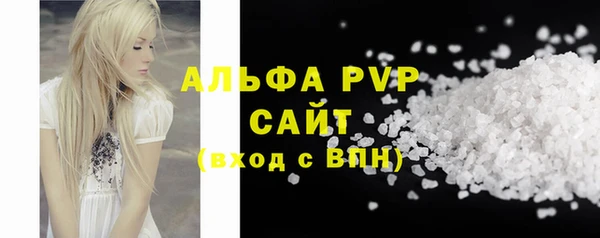 стаф Богданович