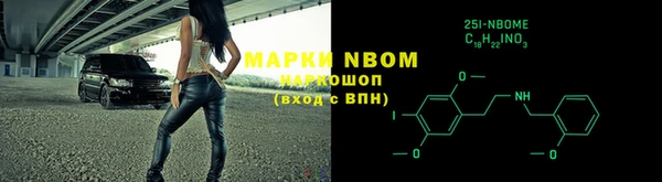 стаф Богданович
