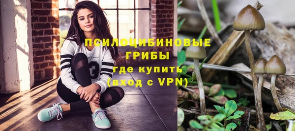 стаф Богданович
