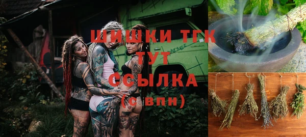 стаф Богданович