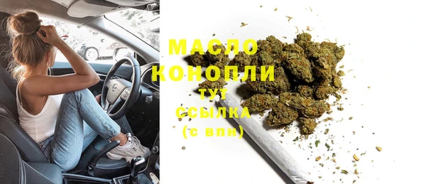 стаф Богородск