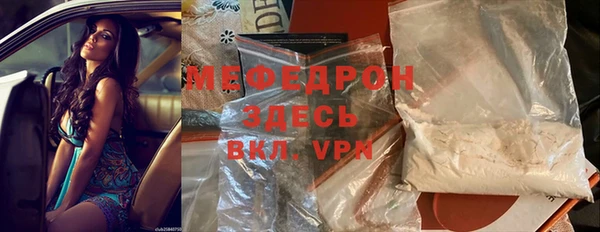 стаф Богданович