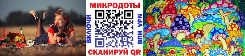 Псилоцибиновые грибы Magic Shrooms  где купить наркоту  Няндома 