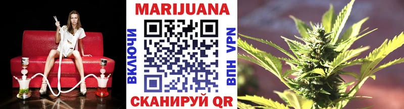 Бошки Шишки планчик  закладки  Няндома 